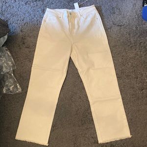 Beige Jeans from Loft